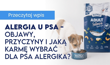 Naturalny duet dla zdrowia i odporności - Blog Baltica